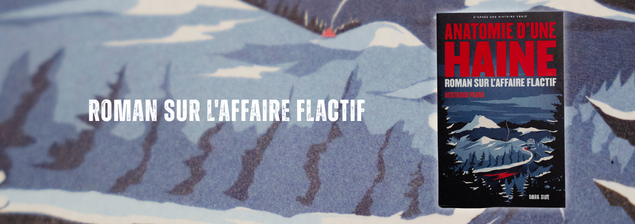 Anatomie d'une haine, Roman sur l'affaire Flactif